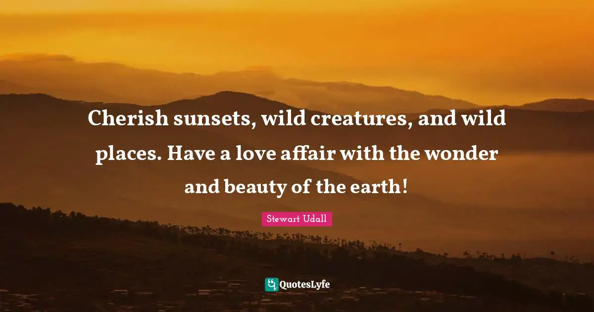 Cherish sunsets, wild creatures, and wild places. Have a love affair with the wonder and beauty of the earth!
