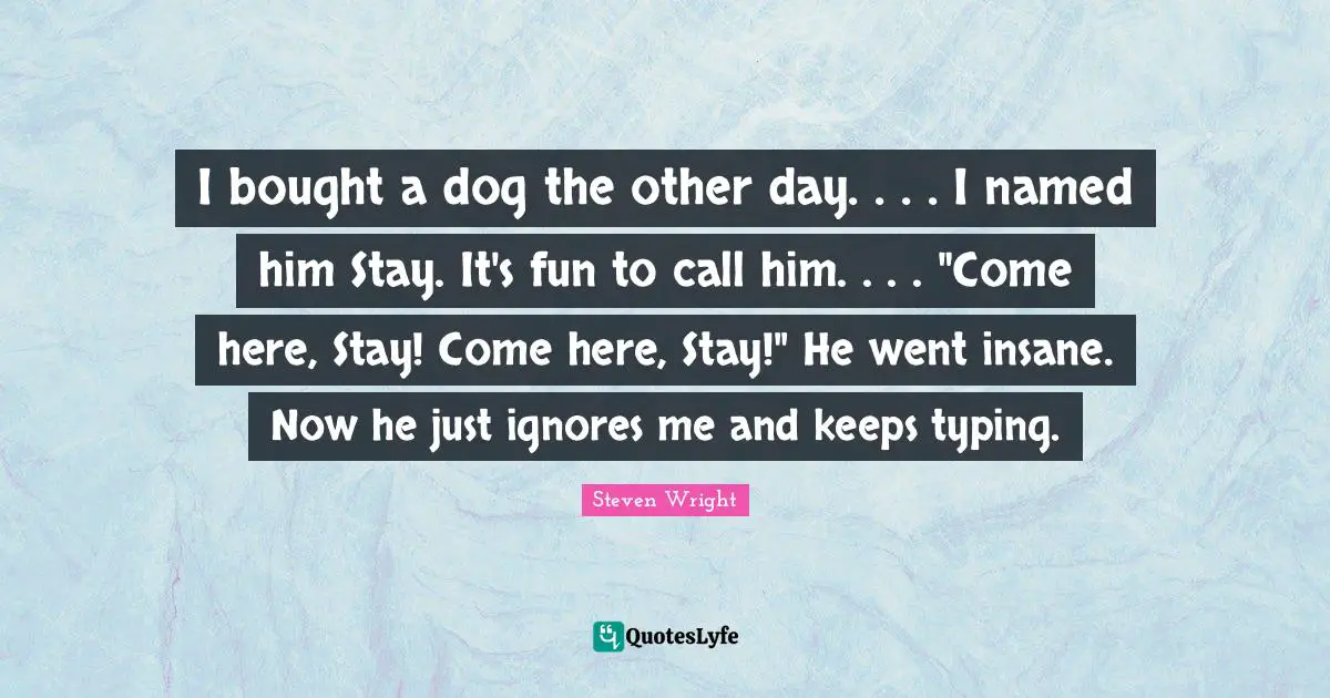 Typing Quotes: "I bought a dog the other day. . . . I named him Stay. It's fun to call him. . . . "Come here, Stay! Come here, Stay!" He went insane. Now he just ignores me and keeps typing."