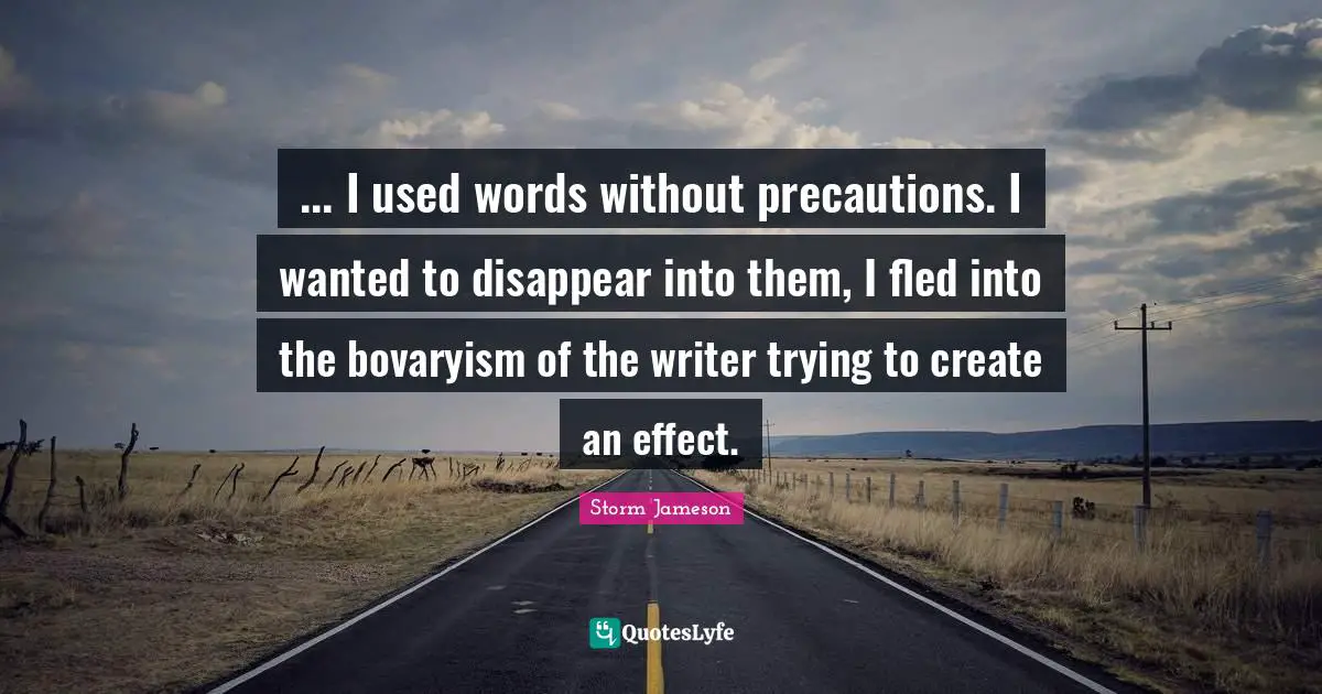... I used words without precautions. I wanted to disappear into them, I fled into the bovaryism of the writer trying to create an effect.