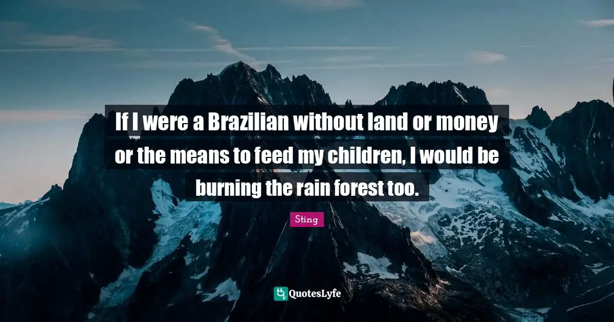If I were a Brazilian without land or money or the means to feed my children, I would be burning the rain forest too.