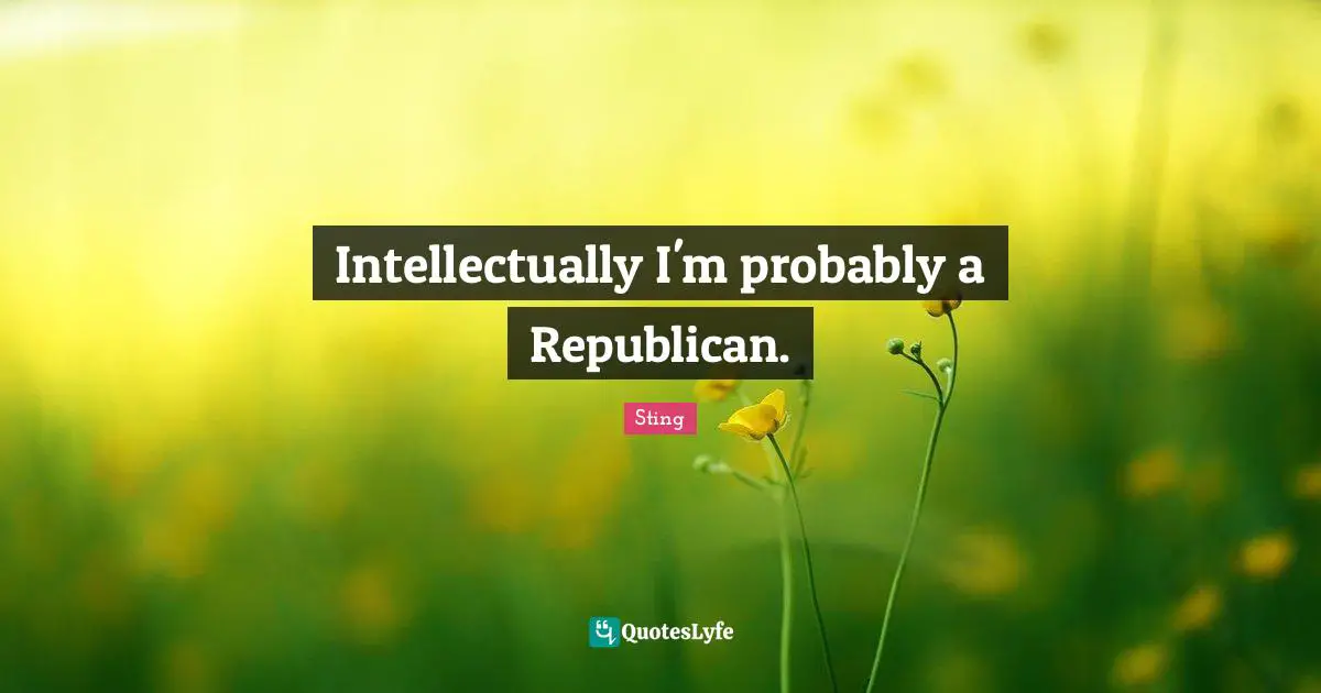 Intellectually I'm probably a Republican.