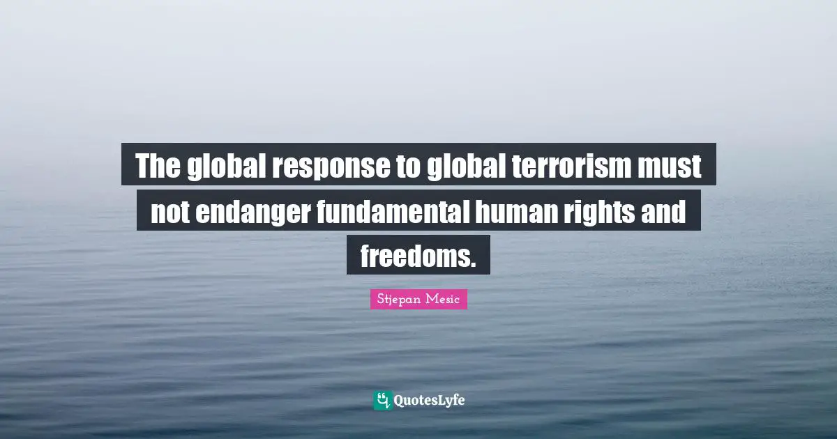 The global response to global terrorism must not endanger fundamental human rights and freedoms.