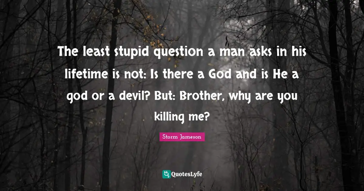 The least stupid question a man asks in his lifetime is not: Is there a God and is He a god or a devil? But: Brother, why are you killing me?