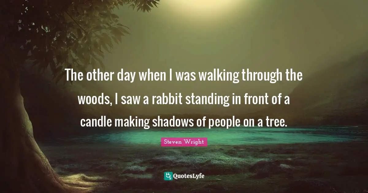 The other day when I was walking through the woods, I saw a rabbit standing in front of a candle making shadows of people on a tree.