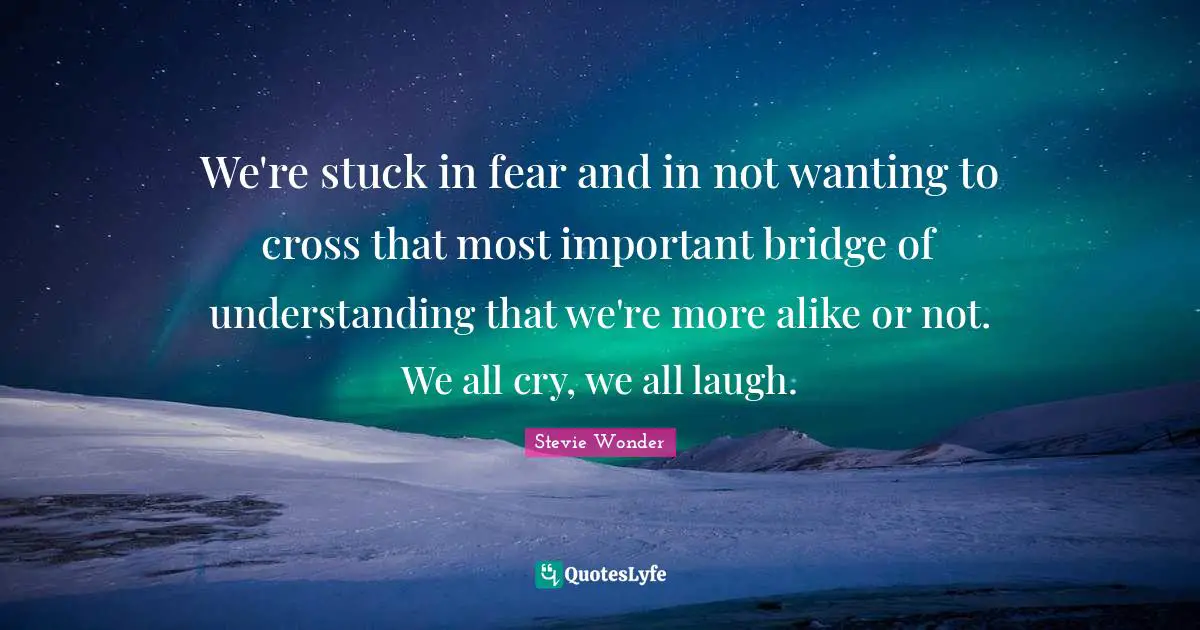 We're stuck in fear and in not wanting to cross that most important bridge of understanding that we're more alike or not. We all cry, we all laugh.