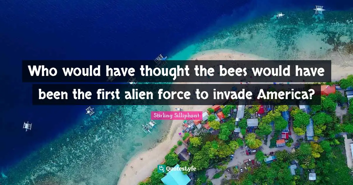Who would have thought the bees would have been the first alien force to invade America?