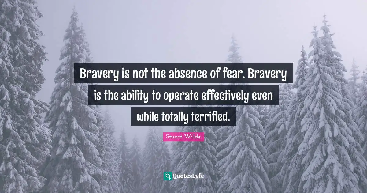 Terrified Quotes: "Bravery is not the absence of fear. Bravery is the ability to operate effectively even while totally terrified."