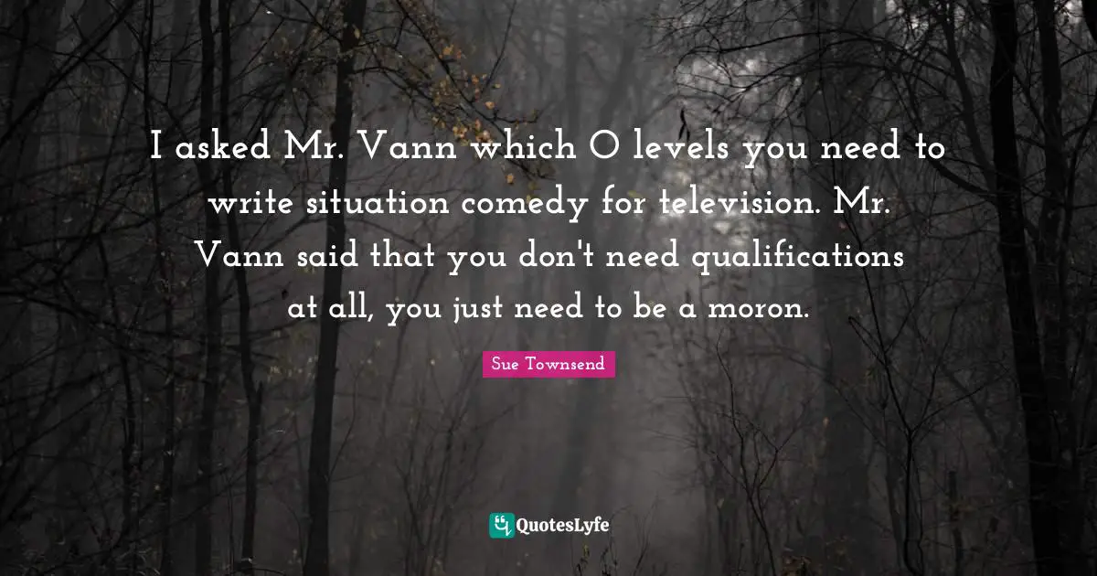 I asked Mr. Vann which O levels you need to write situation comedy for television. Mr. Vann said that you don't need qualifications at all, you just need to be a moron.