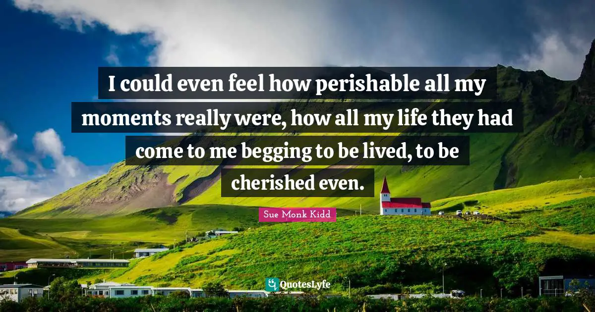 I could even feel how perishable all my moments really were, how all my life they had come to me begging to be lived, to be cherished even.