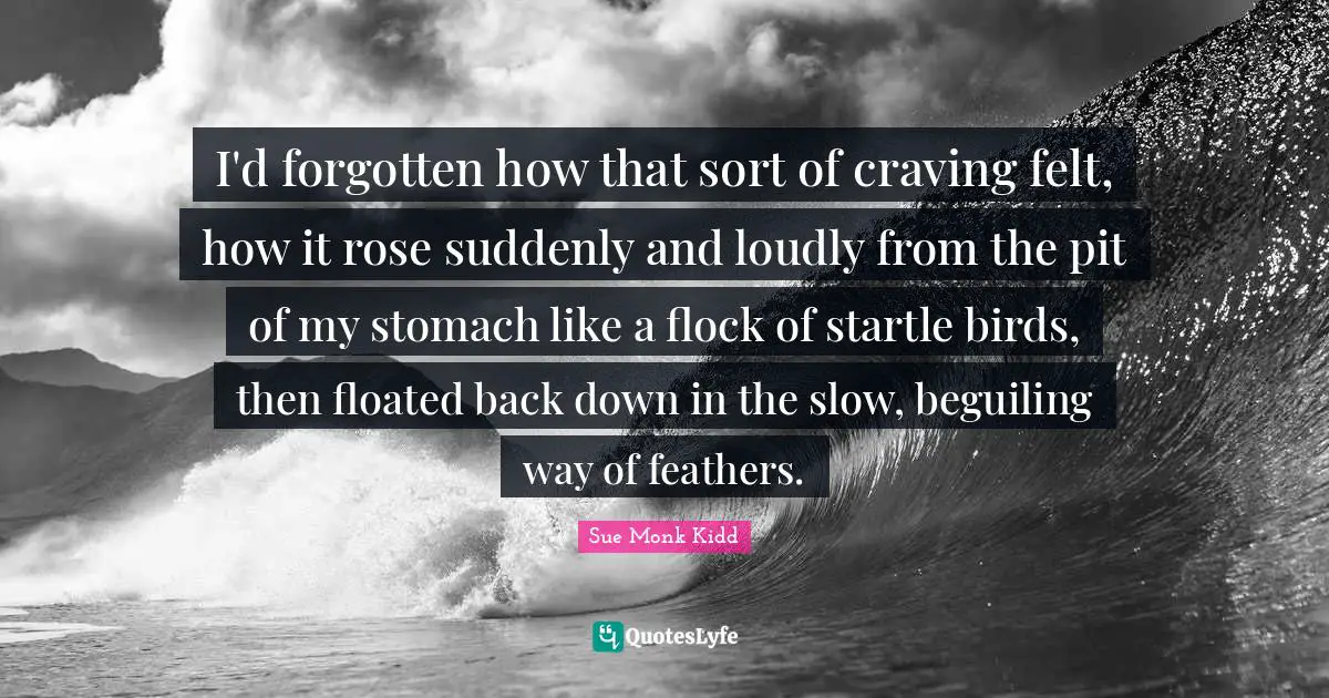 I'd forgotten how that sort of craving felt, how it rose suddenly and loudly from the pit of my stomach like a flock of startle birds, then floated back down in the slow, beguiling way of feathers.