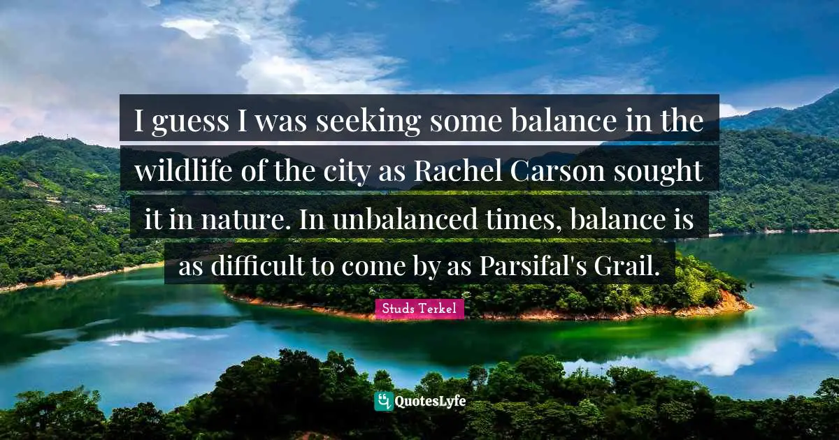 I guess I was seeking some balance in the wildlife of the city as Rachel Carson sought it in nature. In unbalanced times, balance is as difficult to come by as Parsifal's Grail.