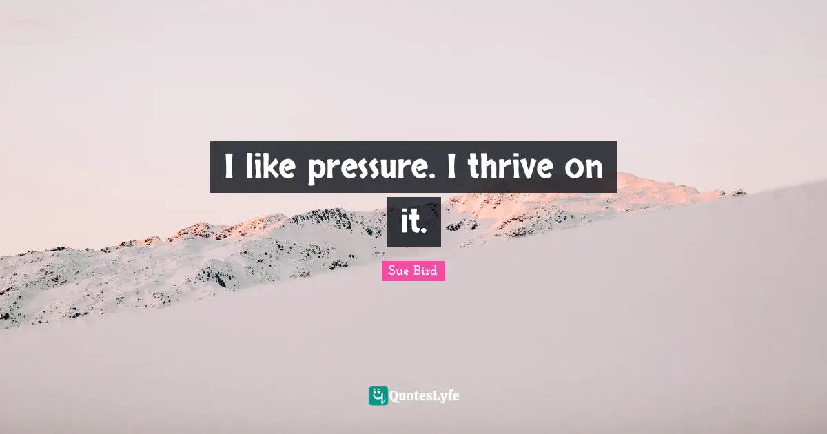 Sue Bird Quotes: "I like pressure. I thrive on it."