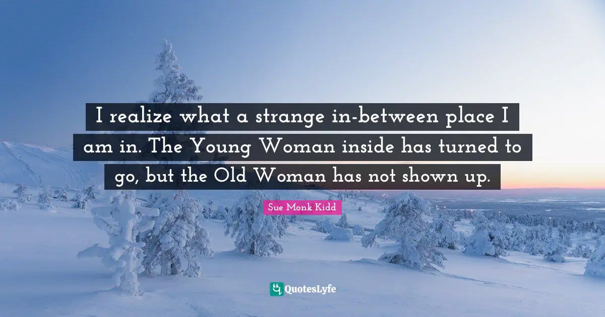 I realize what a strange in-between place I am in. The Young Woman inside has turned to go, but the Old Woman has not shown up.
