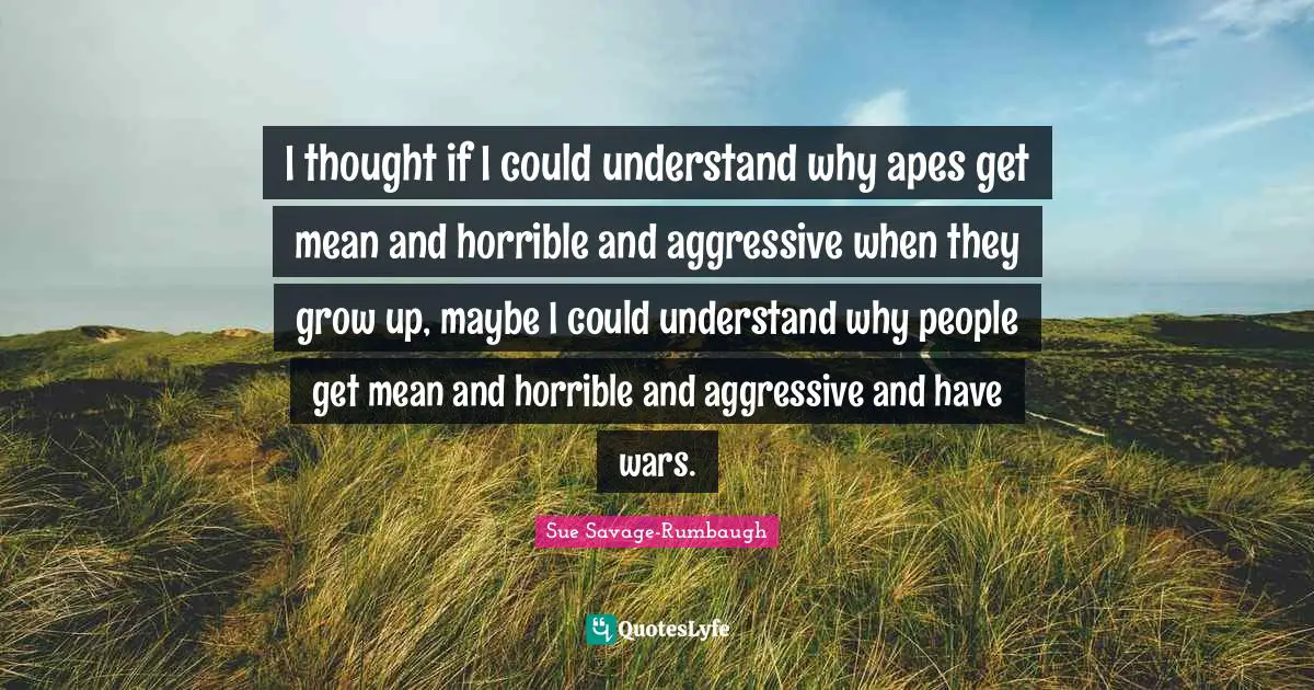 I thought if I could understand why apes get mean and horrible and aggressive when they grow up, maybe I could understand why people get mean and horrible and aggressive and have wars.