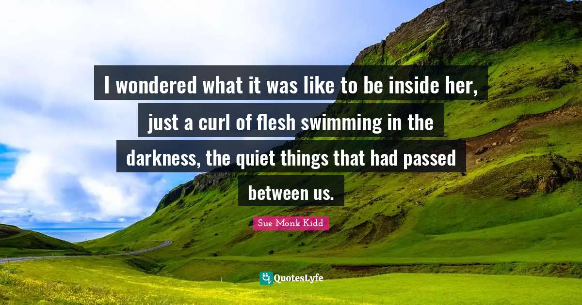 I wondered what it was like to be inside her, just a curl of flesh swimming in the darkness, the quiet things that had passed between us.