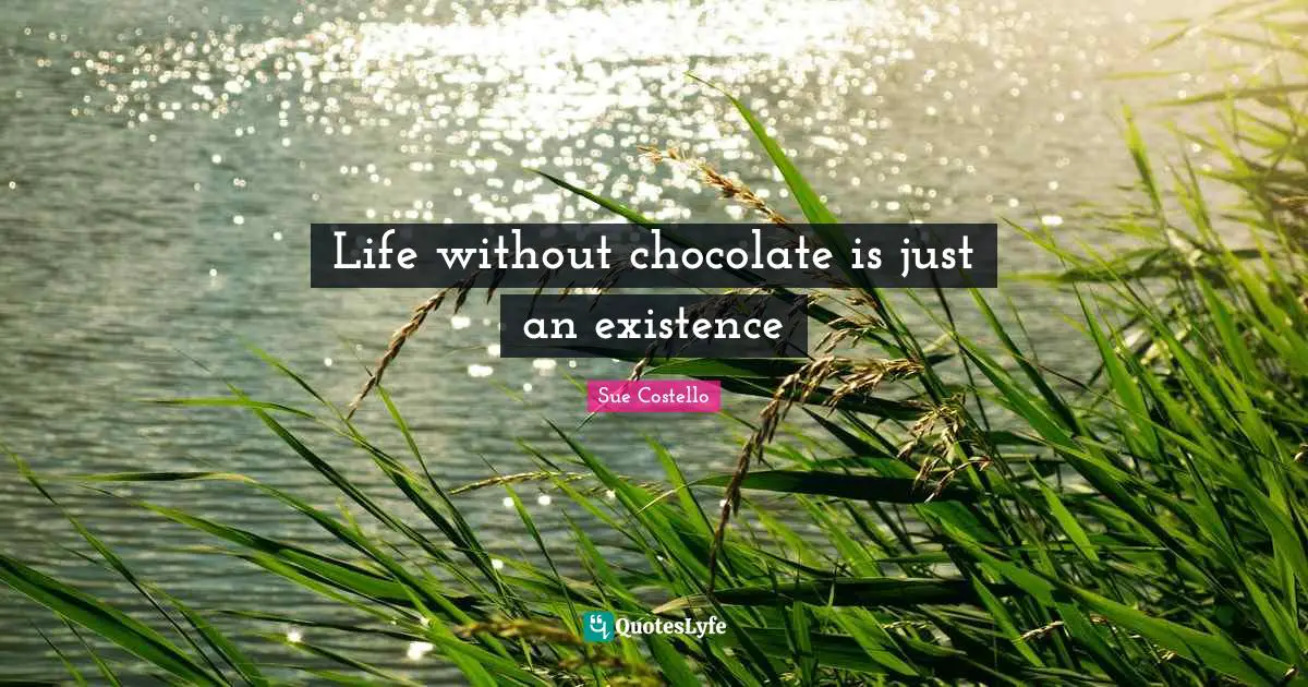 Life without chocolate is just an existence