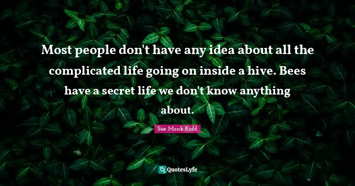Most people don't have any idea about all the complicated life going on inside a hive. Bees have a secret life we don't know anything about.