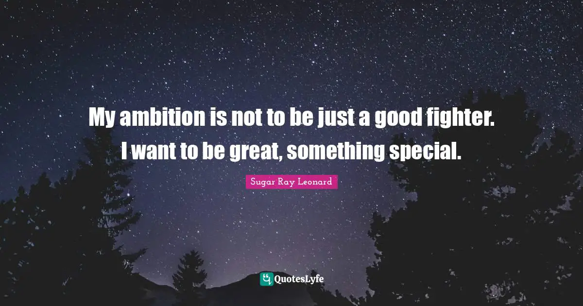 My ambition is not to be just a good fighter. I want to be great, something special.