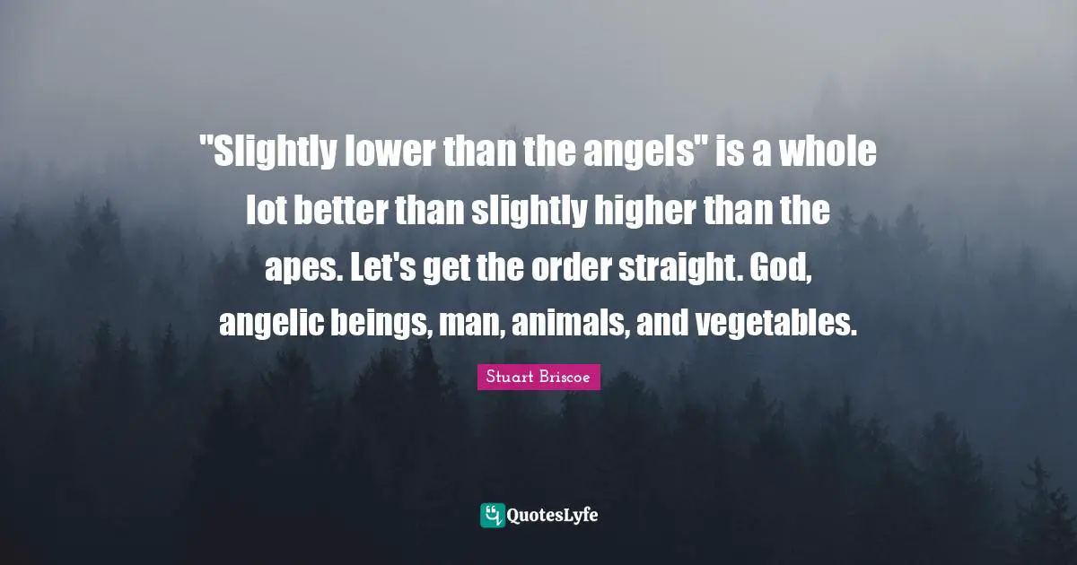 "Slightly lower than the angels" is a whole lot better than slightly higher than the apes. Let's get the order straight. God, angelic beings, man, animals, and vegetables.