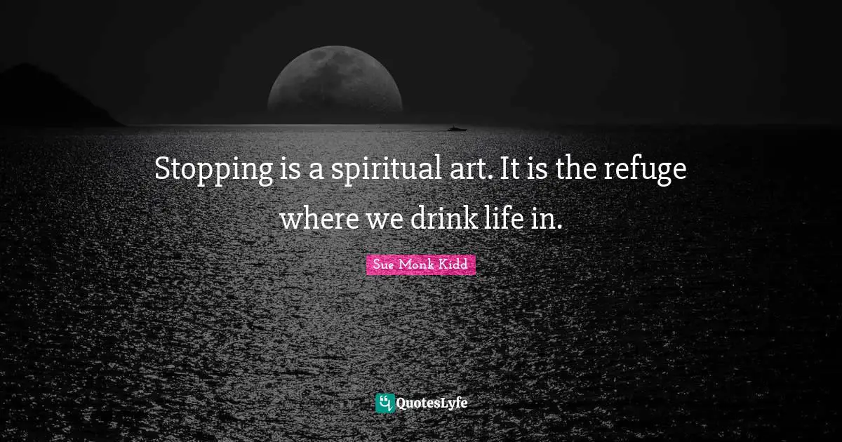 Stopping is a spiritual art. It is the refuge where we drink life in.