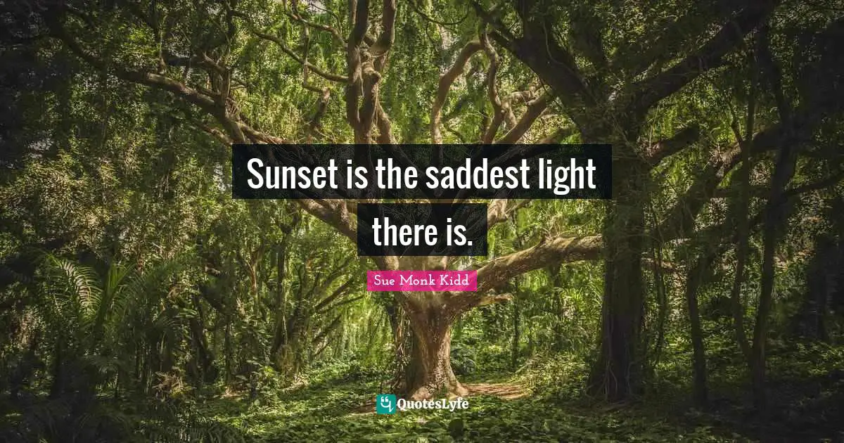 Sunset is the saddest light there is.