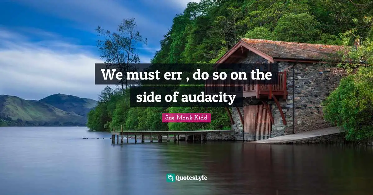 We must err , do so on the side of audacity