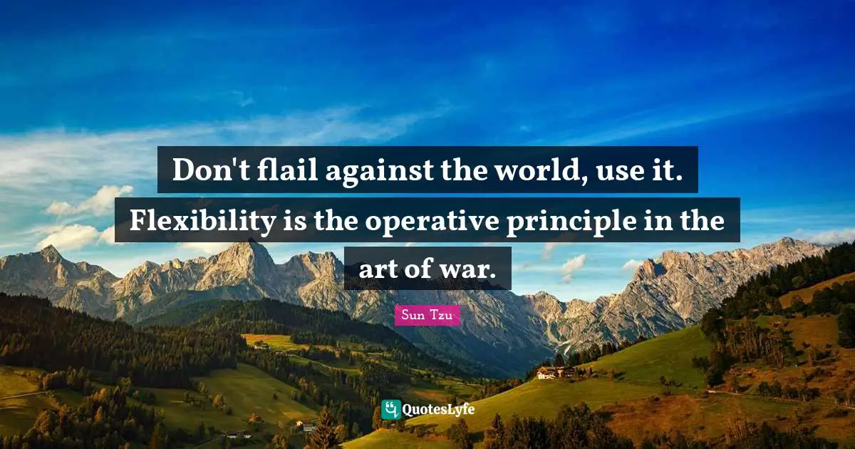 Don't flail against the world, use it. Flexibility is the operative principle in the art of war.