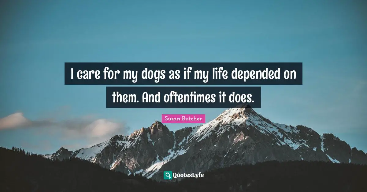 I care for my dogs as if my life depended on them. And oftentimes it does.