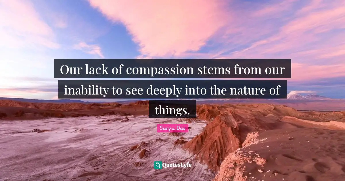 Our lack of compassion stems from our inability to see deeply into the nature of things.