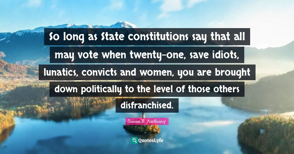 So long as State constitutions say that all may vote when twenty-one, save idiots, lunatics, convicts and women, you are brought down politically to the level of those others disfranchised.