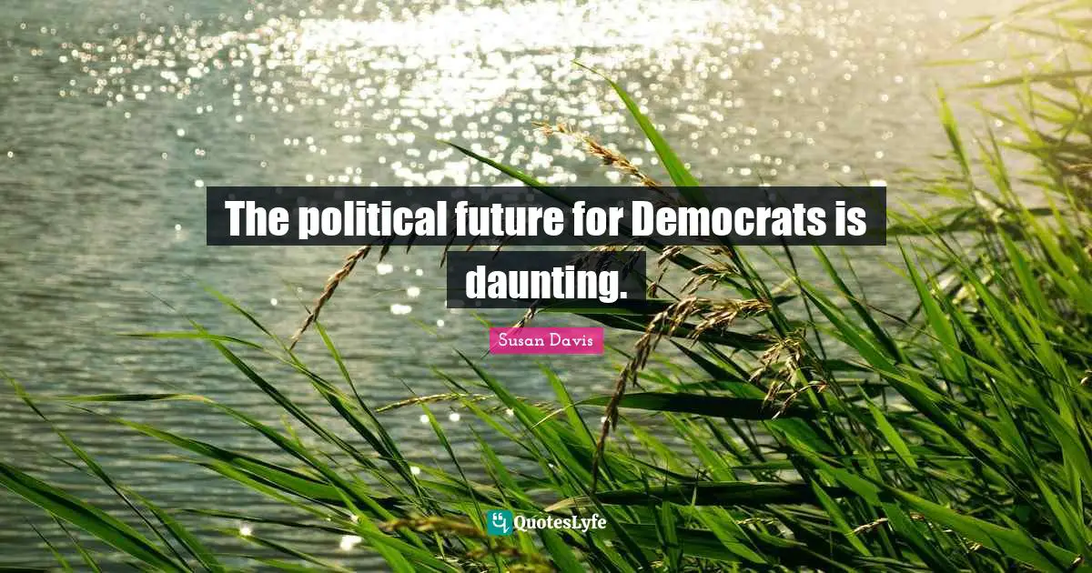 The political future for Democrats is daunting.