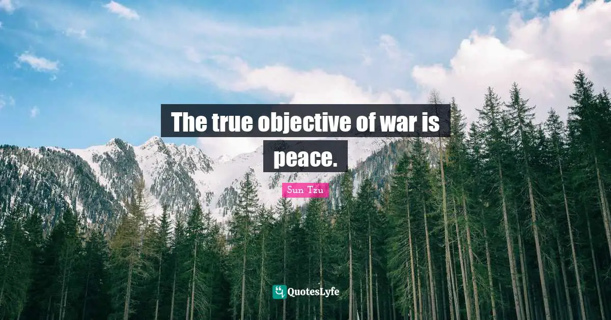 The true objective of war is peace.