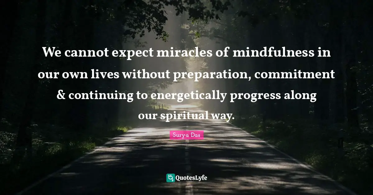 We cannot expect miracles of mindfulness in our own lives without preparation, commitment & continuing to energetically progress along our spiritual way.