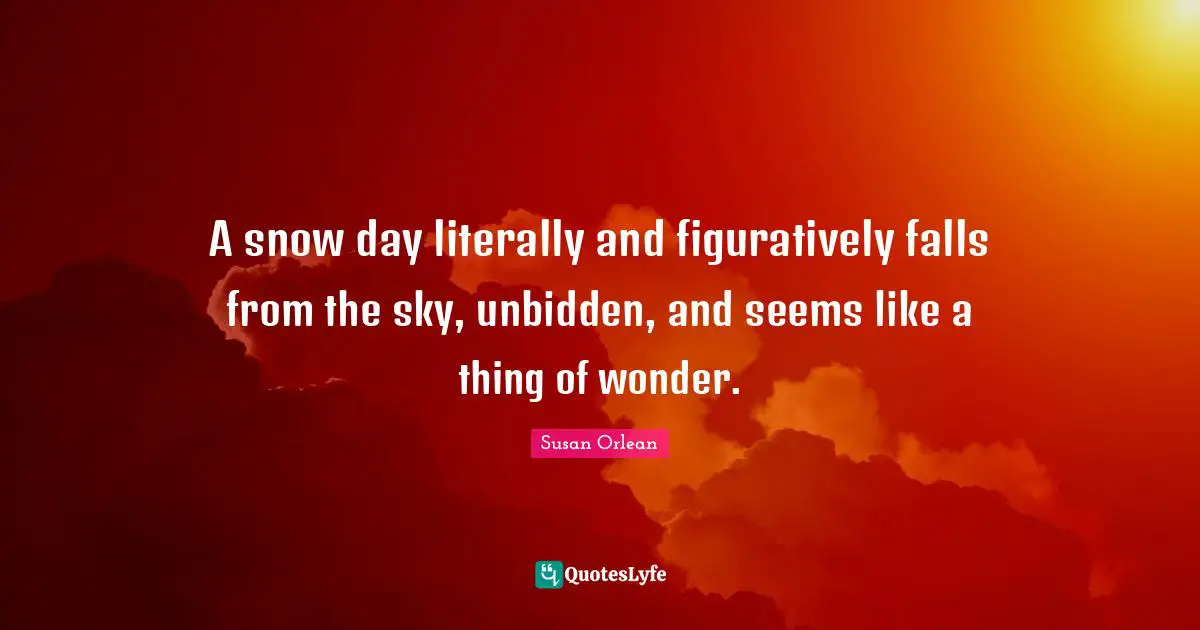 A snow day literally and figuratively falls from the sky, unbidden, and seems like a thing of wonder.