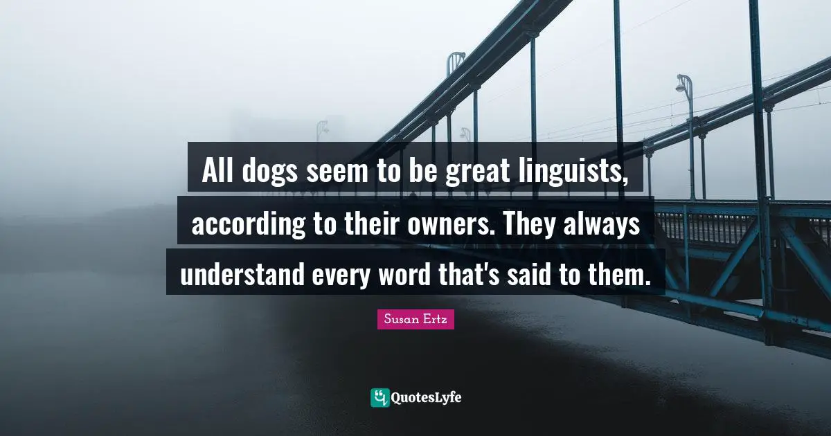 All dogs seem to be great linguists, according to their owners. They always understand every word that's said to them.