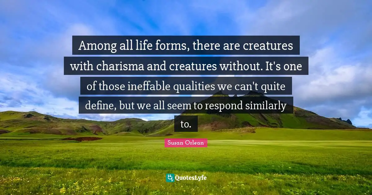 Among all life forms, there are creatures with charisma and creatures without. It's one of those ineffable qualities we can't quite define, but we all seem to respond similarly to.