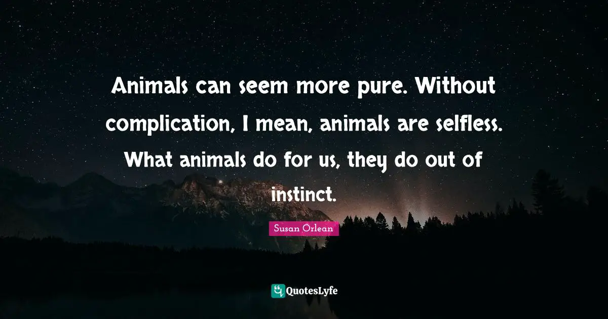 Animals can seem more pure. Without complication, I mean, animals are selfless. What animals do for us, they do out of instinct.