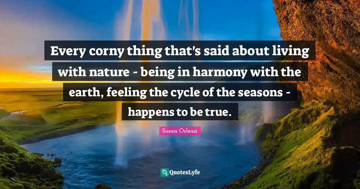 Every corny thing that's said about living with nature - being in harmony with the earth, feeling the cycle of the seasons - happens to be true.