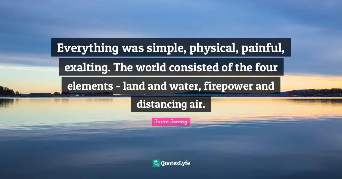 Everything was simple, physical, painful, exalting. The world consisted of the four elements - land and water, firepower and distancing air.