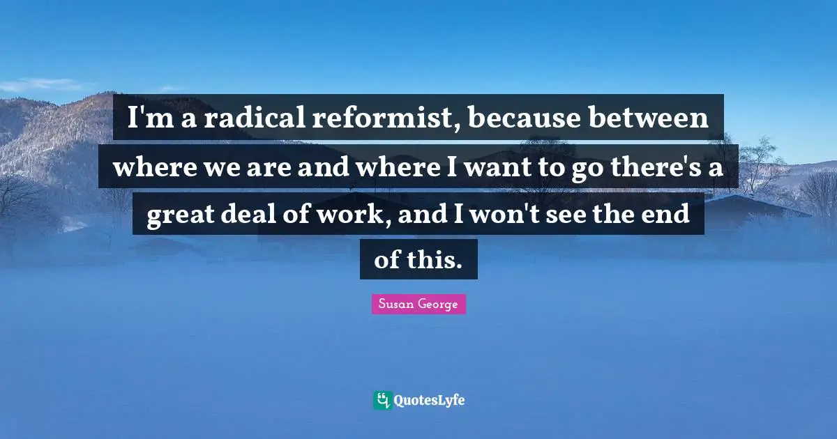 I'm a radical reformist, because between where we are and where I want to go there's a great deal of work, and I won't see the end of this.