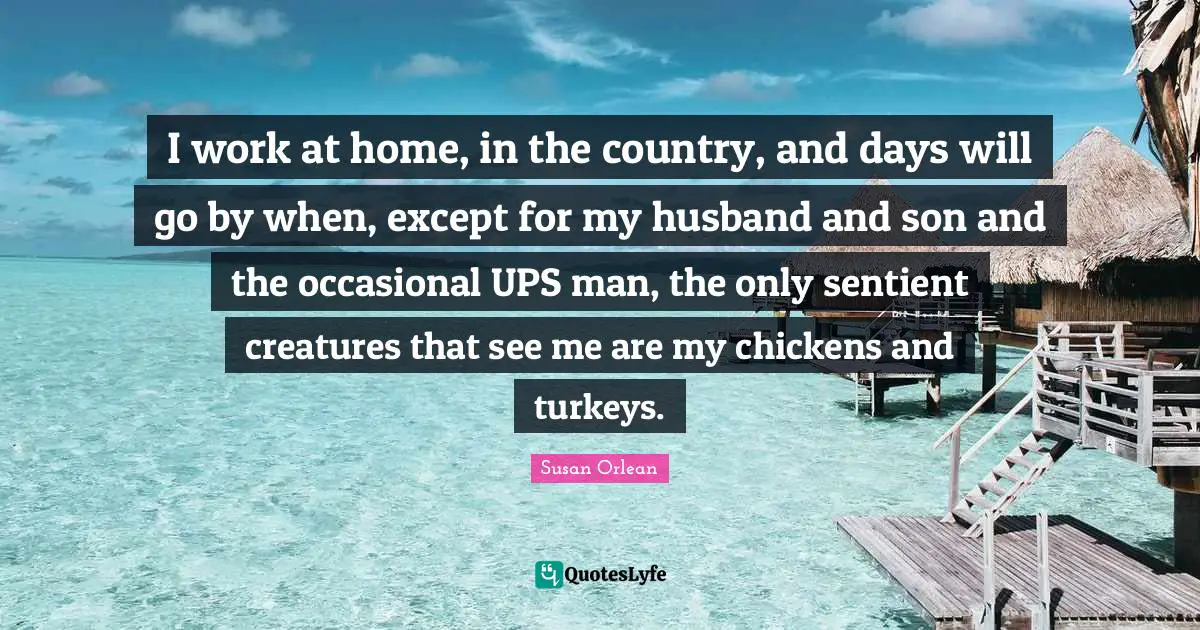 I work at home, in the country, and days will go by when, except for my husband and son and the occasional UPS man, the only sentient creatures that see me are my chickens and turkeys.