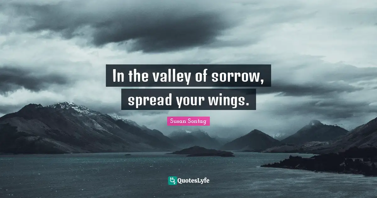 Susan Sontag Quotes: "In the valley of sorrow, spread your wings."