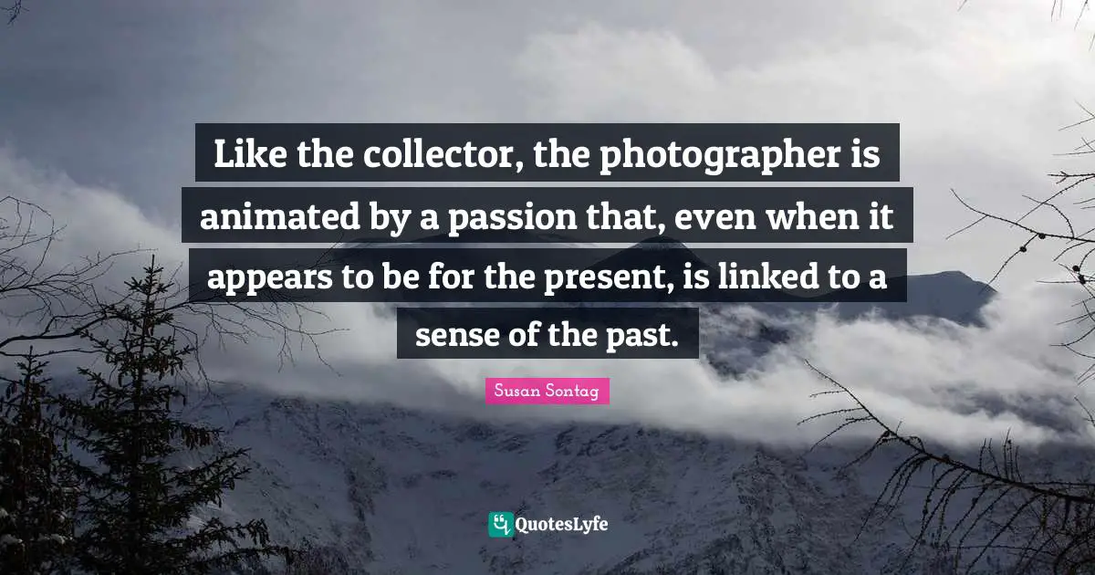Like the collector, the photographer is animated by a passion that, even when it appears to be for the present, is linked to a sense of the past.
