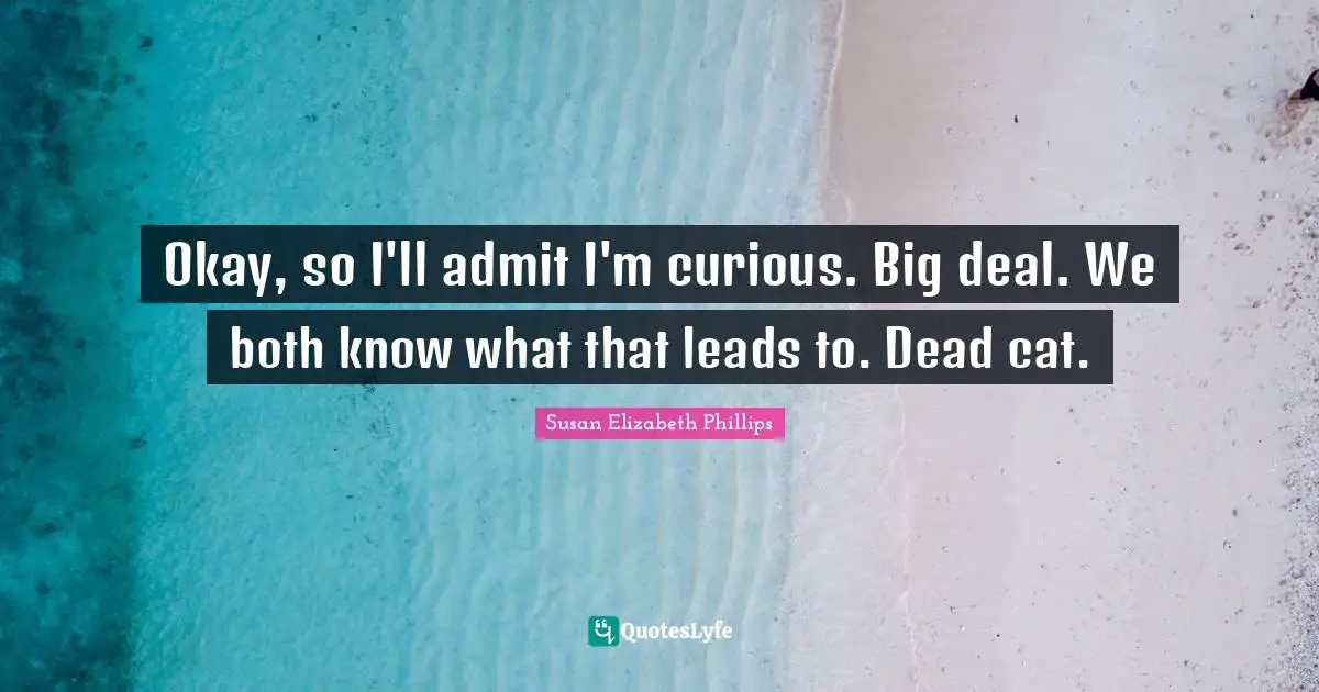 Okay, so I'll admit I'm curious. Big deal. We both know what that leads to. Dead cat.