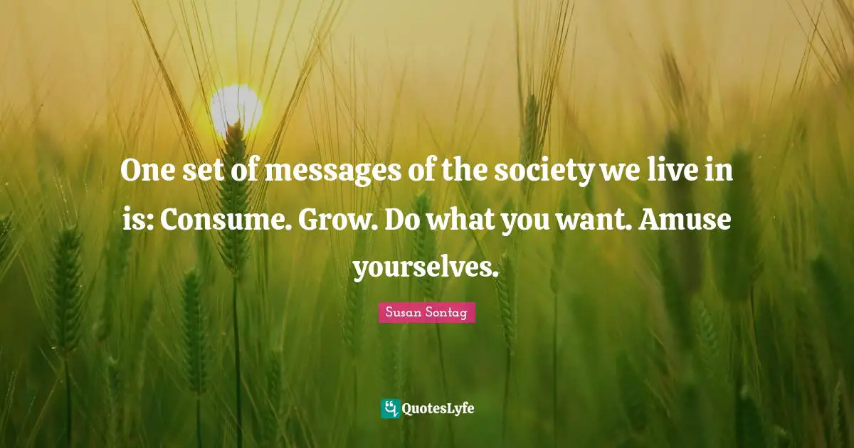 One set of messages of the society we live in is: Consume. Grow. Do what you want. Amuse yourselves.