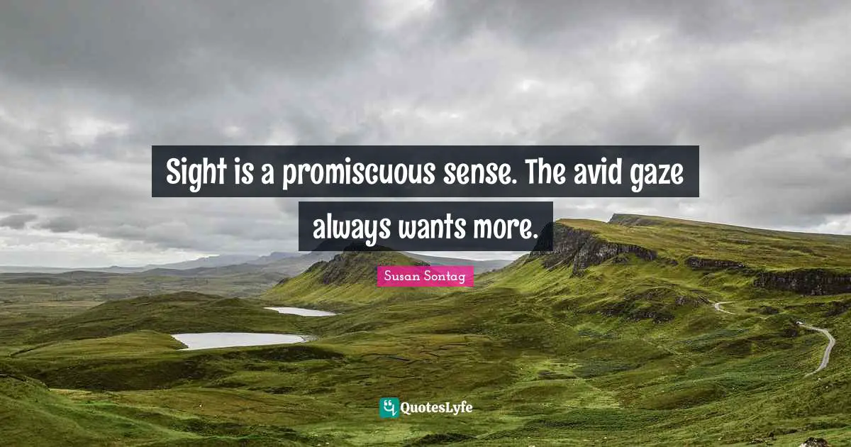 Sight is a promiscuous sense. The avid gaze always wants more.