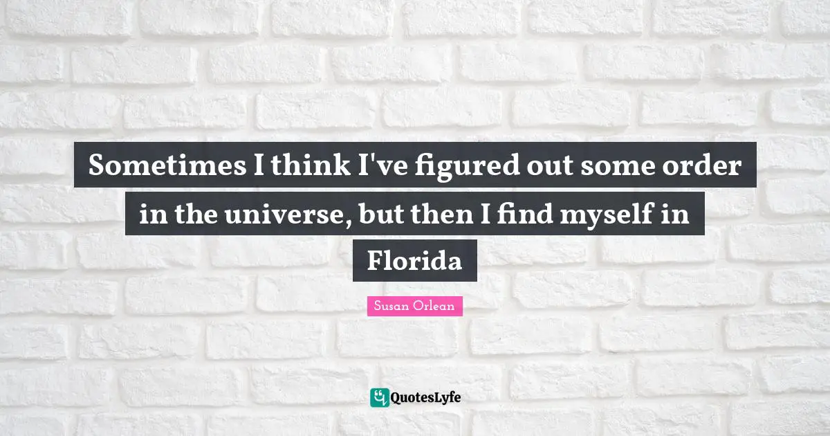Sometimes I think I've figured out some order in the universe, but then I find myself in Florida