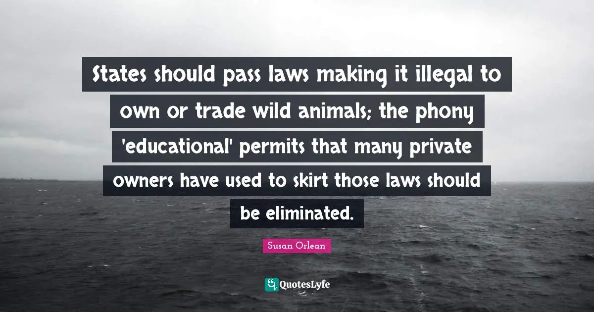States should pass laws making it illegal to own or trade wild animals; the phony 'educational' permits that many private owners have used to skirt those laws should be eliminated.