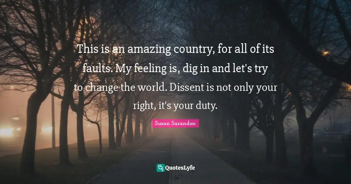 This is an amazing country, for all of its faults. My feeling is, dig in and let's try to change the world. Dissent is not only your right, it's your duty.