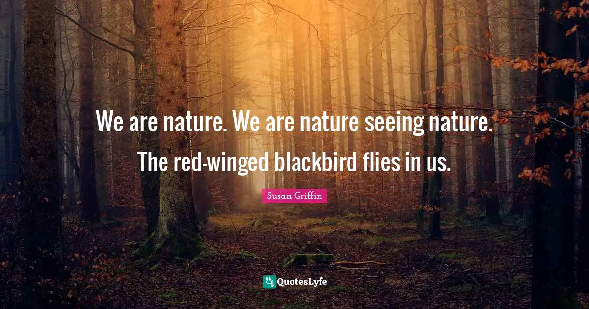 We are nature. We are nature seeing nature. The red-winged blackbird flies in us.